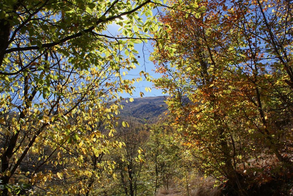Takht House Vila Dilijan Quarto foto